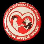 шильдики